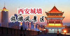 欧美操大逼中国陕西-西安城墙旅游风景区